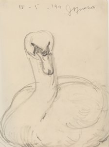 Zwaan