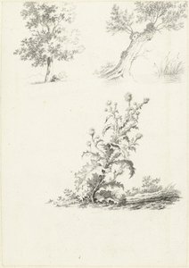 Twee studies van een boom en een distel door J.B. Joss (attributed to)