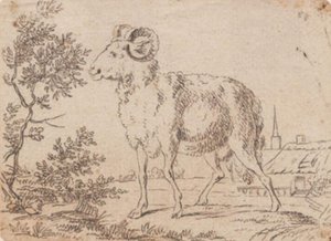 Een ram