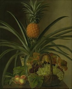 Een ananas en ander fruit