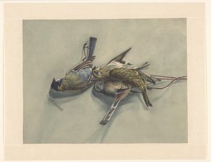 Stilleven met drie dode vogels