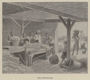 De katoen gin (litho)
