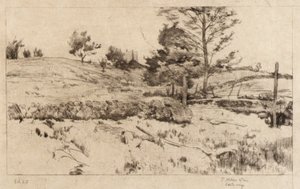 Landschap (schets van velden)