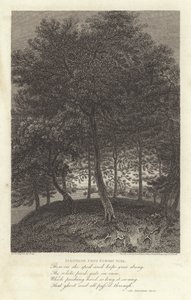 Robert Bloomfield, dichter: Fakenham vanuit Euston Park door J. Greig