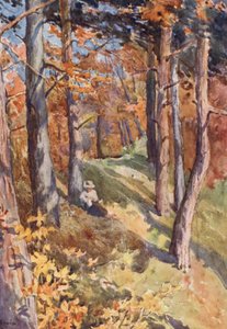 In het bos van Sauvabelin, boven Lausanne door J. Hardwicke Lewis