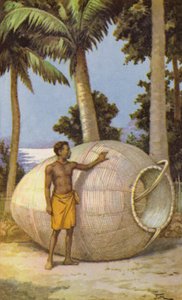 Nieuw-Guinea man met visval door J. Macfarlane