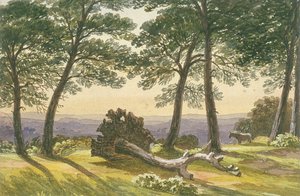 Hampstead Heath, Londen door J Powell