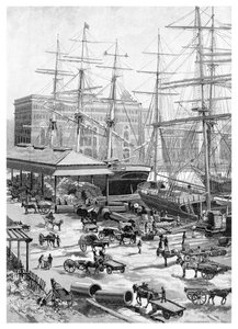 Scheepvaart, Circular Quay, Sydney, New South Wales, Australië, 1886 door J. R. Ashton
