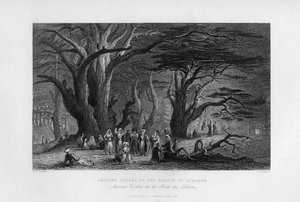 Oude ceders in het woud van Libanon, 1841 door J. Redaway