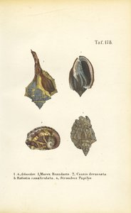  door J. W. Tenhaeff