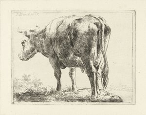 Staande koe door Jabes Heenck