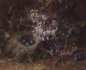 Vogelnest en kamperfoelie door Jabez Bligh