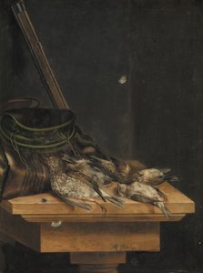 Dode vogels door Jacob Biltius