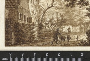 Varkenshoeder op weggetje voor een huis