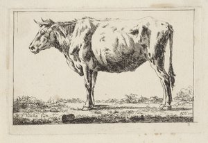 Staand rund, naar links door Jacob Elias van Varelen