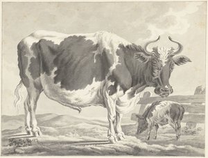 Zwartbonte stier en een varken