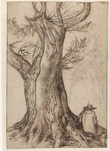 Studie van een boomstam door Jacob II de Gheyn
