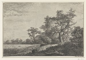 Het korenveld