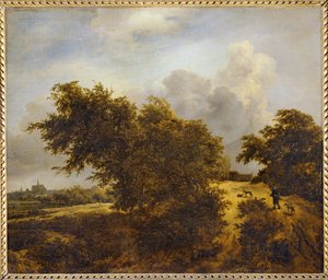 Pad in de duinen van Haarlem of Le Buisson ...