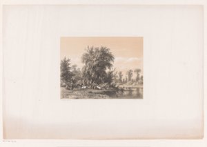 Rustende koeien bij het water