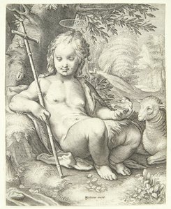 Johannes de Doper in de wildernis