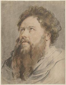 Hoofd van man met baard, de ogen zien opzij naar boven door Jacob de Wit