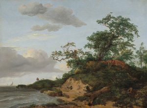 Duinen aan zee, 1648