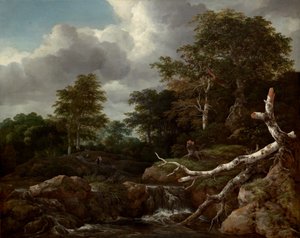 Bos tafereel door Jacob van Ruisdael