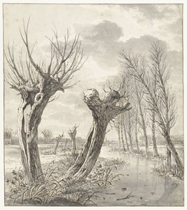 Winterlandschap met knotwilgen langs een bevroren sloot