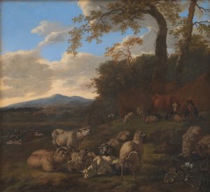 De kudde schapen