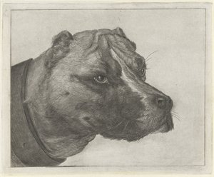 Hondekop met halsband door Jacobus Cornelis Gaal