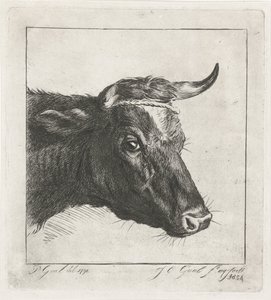 Kop van een koe met touw om de horens door Jacobus Cornelis Gaal