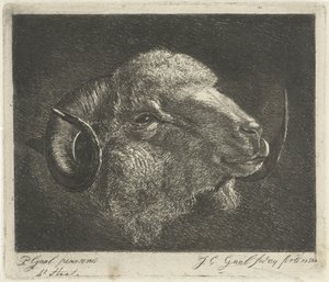 Kop van een ram met naar achteren gedraaide hoorns