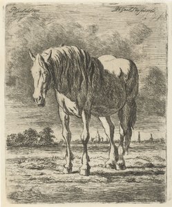 Staand wit paard