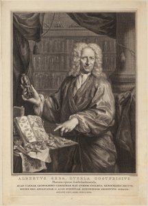  door Jacobus Houbraken