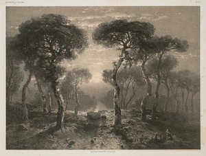 Oeuvres de A. Calame, No. 13: Forêt de Sierre en Valais door Jacomme and Cie. R. de Lancry, 12, Paris