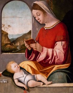  door Jacopo (c.1480-1528) Palma