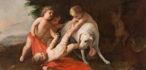 Putti spelen met hond