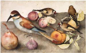 Stilleven met Vogels en Fruit, c. 1650 door Jacopo Ligozzi
