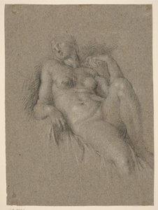 Kopie naar Michelangelo