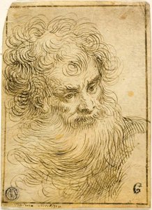 Hoofd van bebaarde oude man (recto); Decoratieve schets van bloem en bladeren (verso) door Jacopo Palma il Giovane