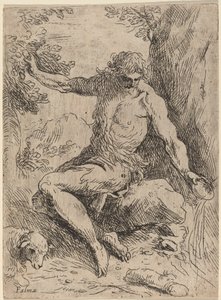 Sint Johannes de Doper door Jacopo Palma il Giovane