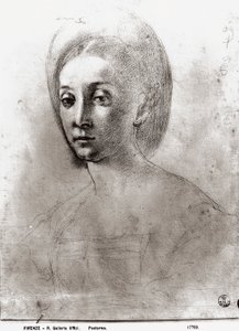 Hoofd van een Vrouw door Jacopo Pontormo
