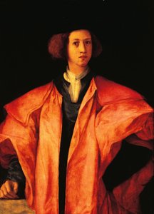 Portret van jonge man, misschien Amerigo Antinori, ca. 1530, door Jacopo Carucci, bekend als Pontormo