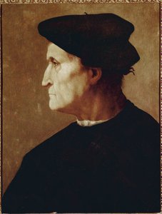 Profielportret van Francesco da Castiglione door Jacopo Pontormo