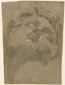 Hoofd van Giuliano dei Medici door Jacopo Tintoretto