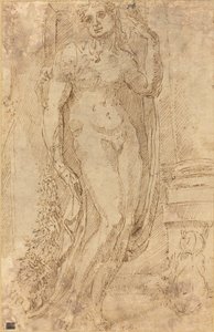 Allegorisch Figuur met een Kat en een Varken door Jacopo di Giovanni