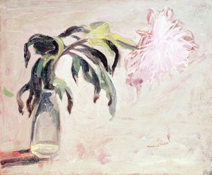 Een chrysant in een fles door Jacqueline Marval