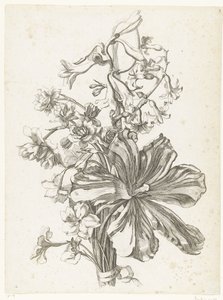 Boeket met een tulp, een hyacint, brodiaea en narcissen door Jacques Bailly (I)