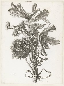 Boeket met uitgebloeide tulpen, een anemoon en immortellen door Jacques Bailly (I)